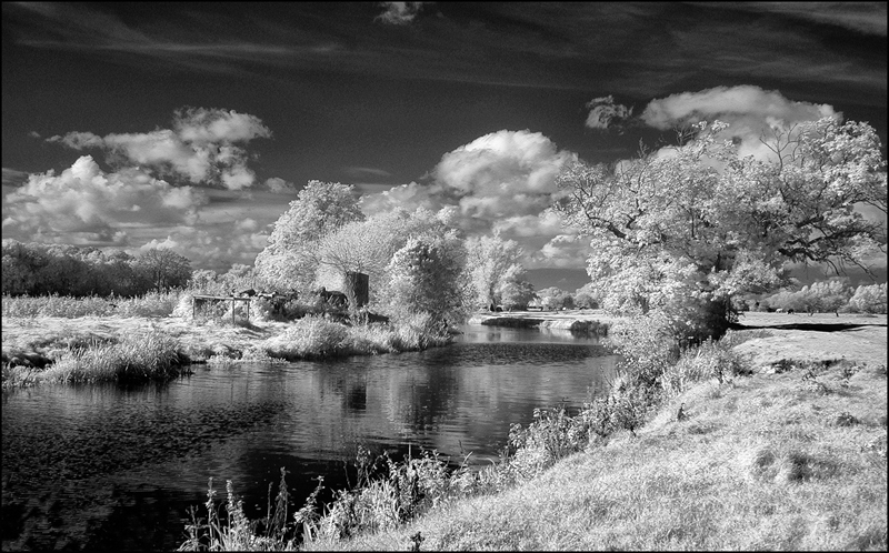 Flooded River by Ron Pain.jpg -           
